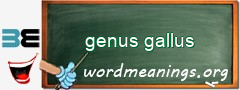 WordMeaning blackboard for genus gallus